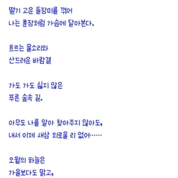 피드에 업로드 된 이미지