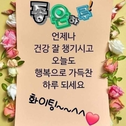 피드에 업로드 된 이미지