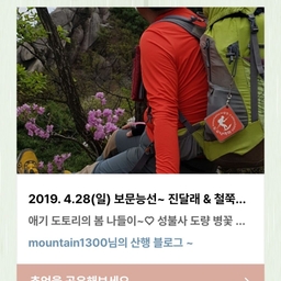 피드에 업로드 된 이미지