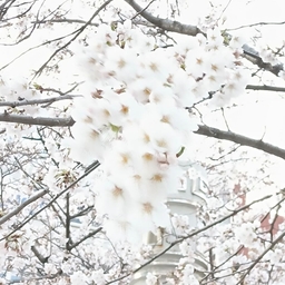 피드에 업로드 된 이미지