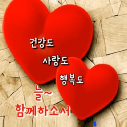 피드에 업로드 된 이미지