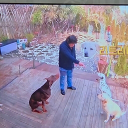 피드에 업로드 된 이미지