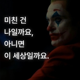 피드에 업로드 된 이미지