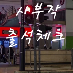 피드에 업로드 된 이미지