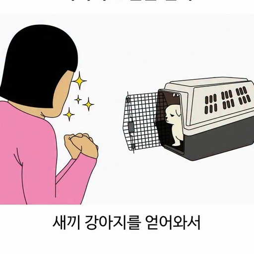 피드 이미지