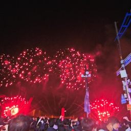 피드에 업로드 된 이미지