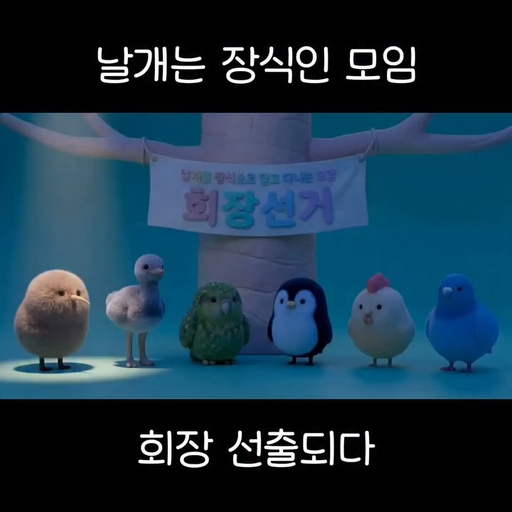 피드 이미지
