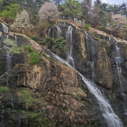 피드에 업로드 된 이미지
