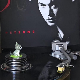 피드에 업로드 된 이미지