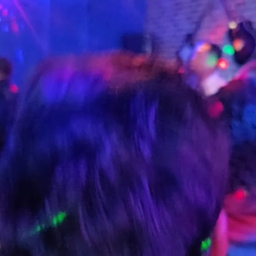 피드에 업로드 된 이미지