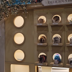 피드에 업로드 된 이미지