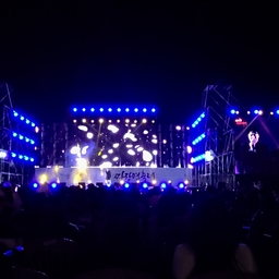 피드에 업로드 된 이미지