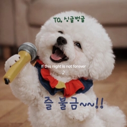 피드에 업로드 된 이미지