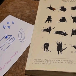 피드에 업로드 된 이미지