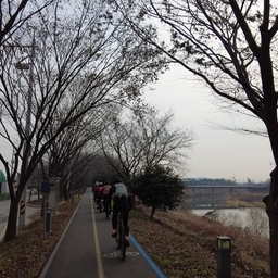 피드에 업로드 된 이미지