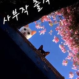 피드에 업로드 된 이미지