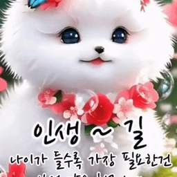 피드에 업로드 된 이미지