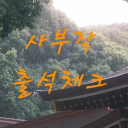 피드에 업로드 된 이미지