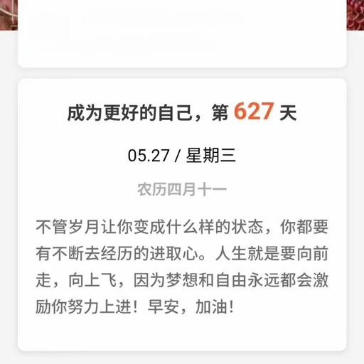 피드 이미지