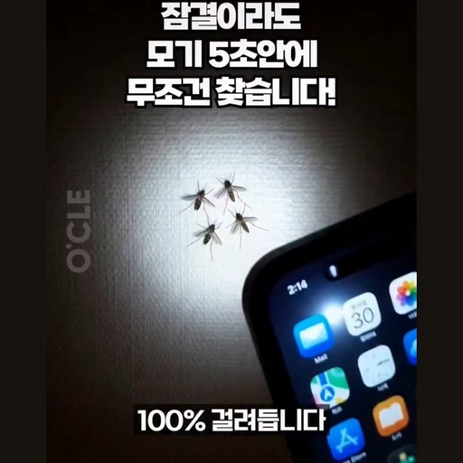 피드 이미지