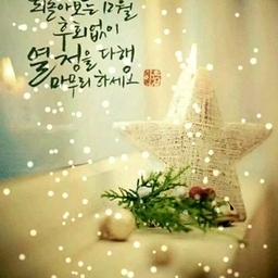 피드에 업로드 된 이미지