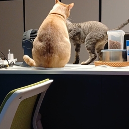 피드에 업로드 된 이미지