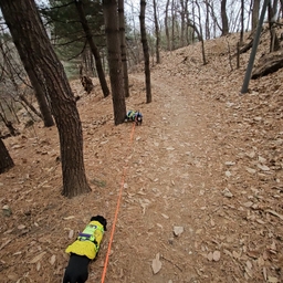 피드에 업로드 된 이미지