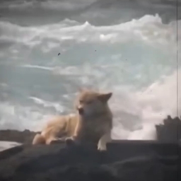 피드에 업로드 된 이미지