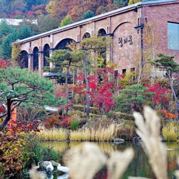 피드에 업로드 된 이미지