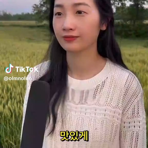 피드 이미지