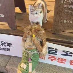 피드에 업로드 된 이미지