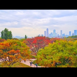 피드에 업로드 된 이미지