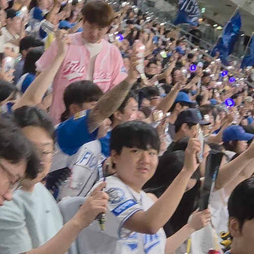 피드 이미지