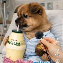 피드에 업로드 된 이미지