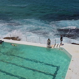 피드에 업로드 된 이미지