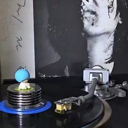 피드에 업로드 된 이미지