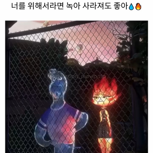 피드 이미지