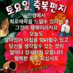 피드에 업로드 된 이미지