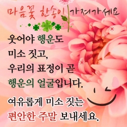 피드에 업로드 된 이미지
