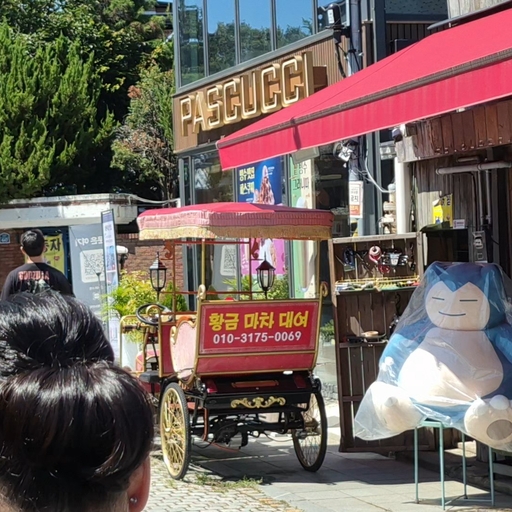 피드 이미지