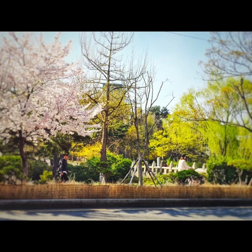 피드 이미지