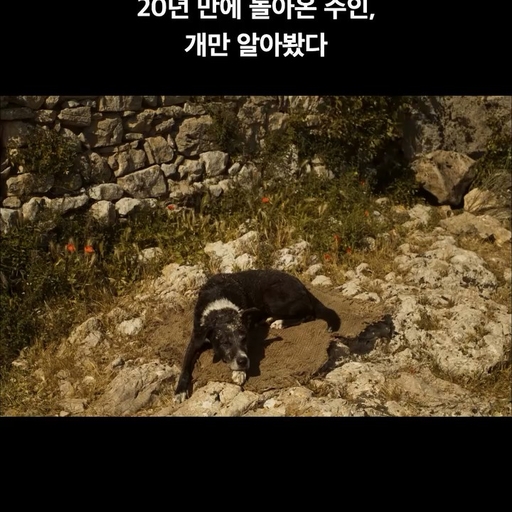 피드 이미지