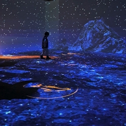 피드에 업로드 된 이미지