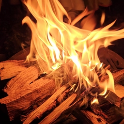 피드에 업로드 된 이미지