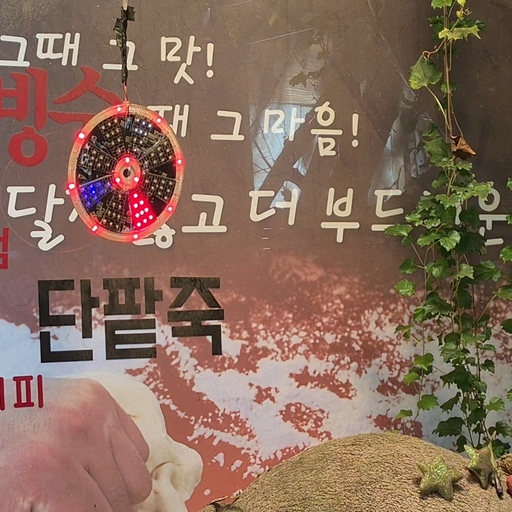 피드 이미지
