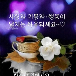 피드에 업로드 된 이미지