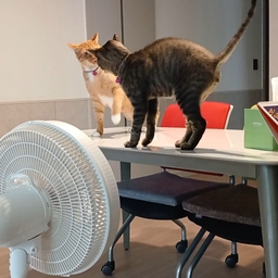 피드에 업로드 된 이미지