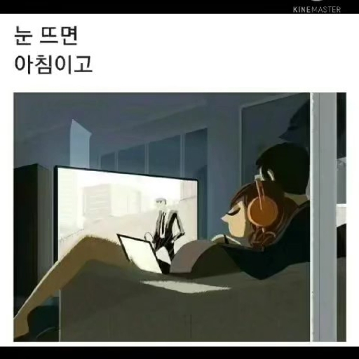 피드 이미지