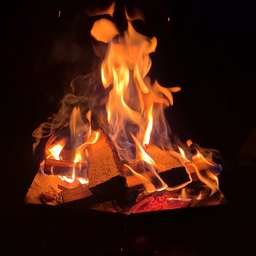 피드에 업로드 된 이미지