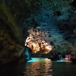 피드에 업로드 된 이미지
